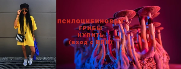 амф Арсеньев