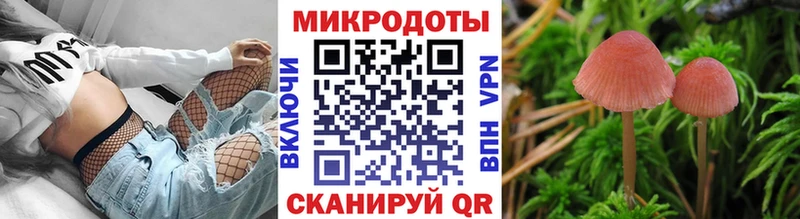 Псилоцибиновые грибы мицелий  Гатчина 